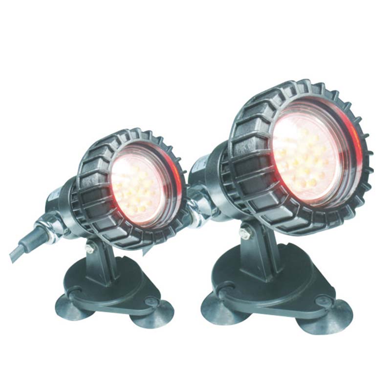 지하 연못 위의 물고기 수중 조명